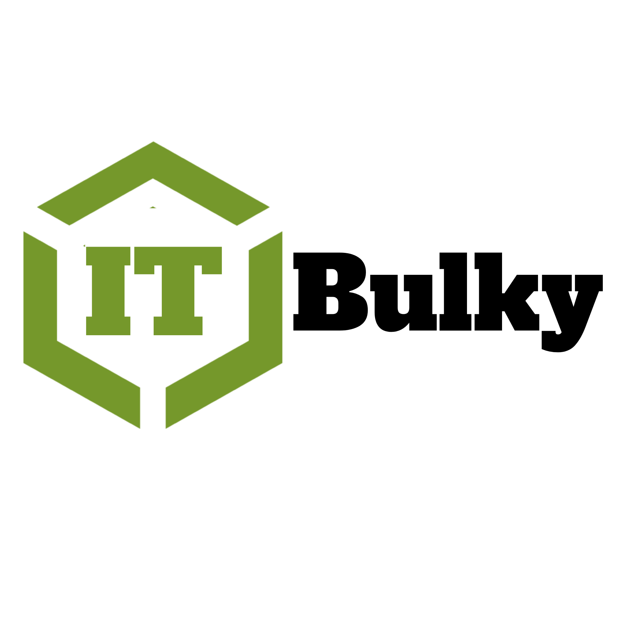GLOBAL IT SERVICES
