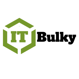 GLOBAL IT SERVICES